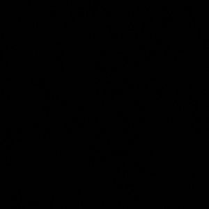 Meet your Posher, Santos